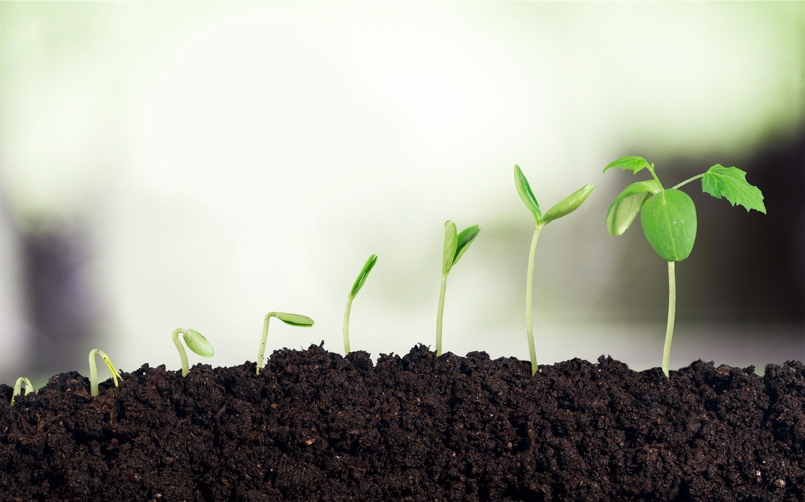 GrowingChristian.org